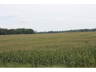 Property photo 63 - LAND AUCTION - 1,193+/- ACRES IN 14 TRACTS IN PIKE & GIBSON COUNTY, INDIANA